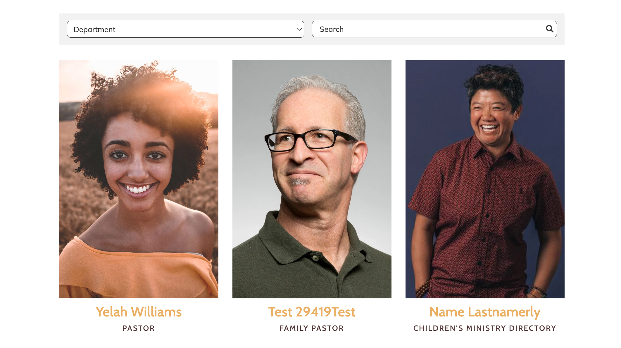 wp staff layout widget.png